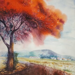 Water color paintings